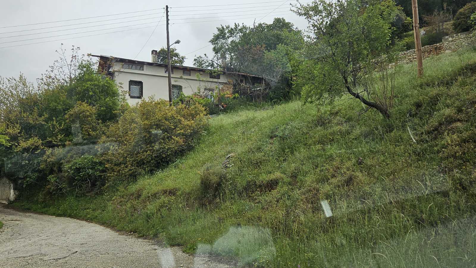 photo1