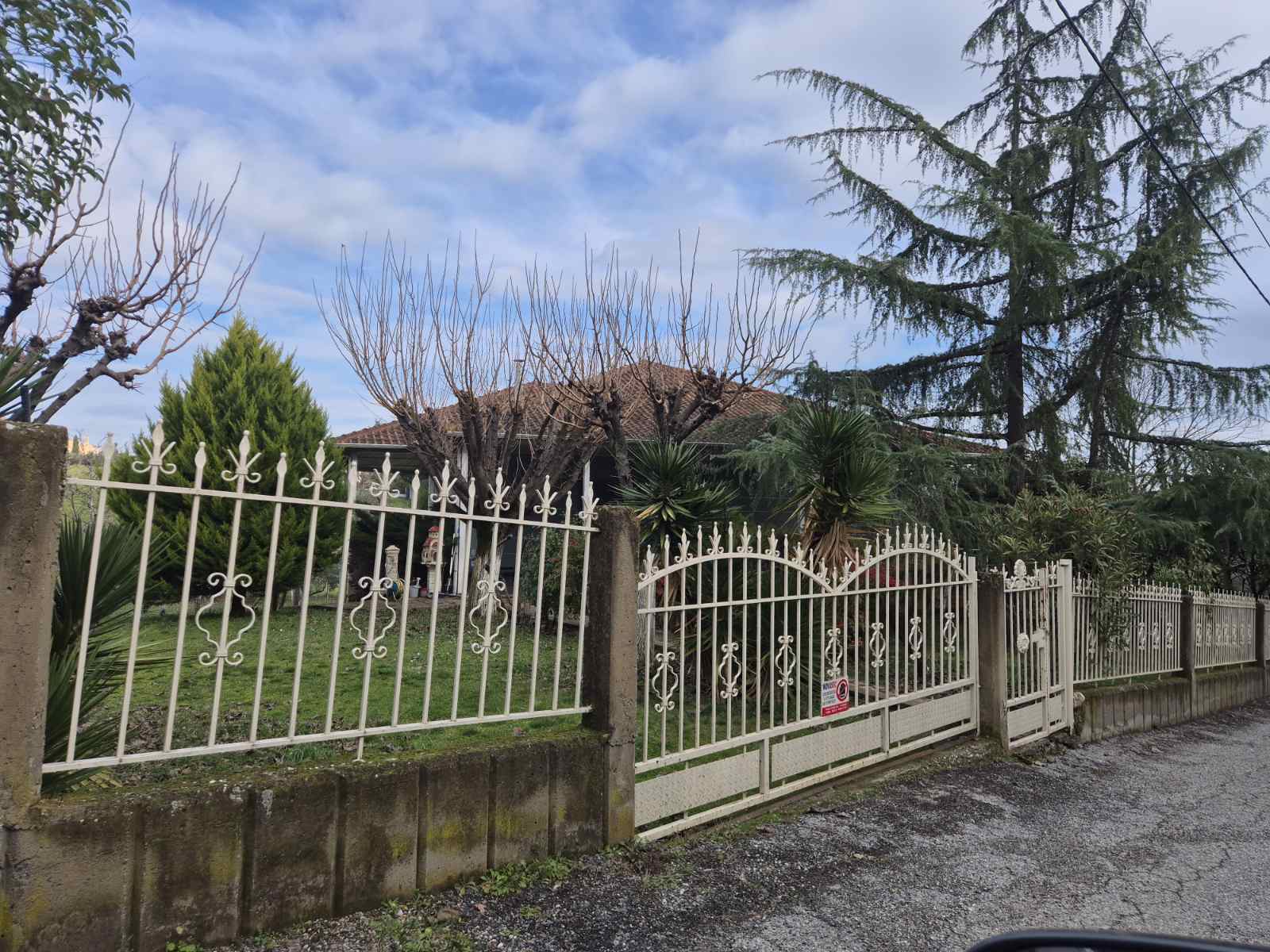 photo0