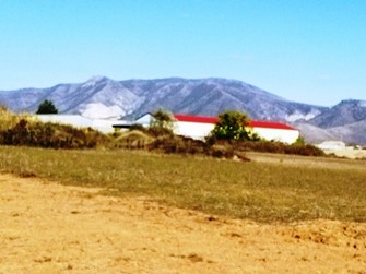photo8
