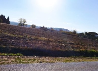 photo23
