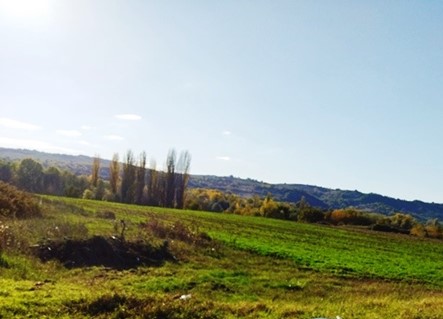 photo25