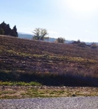 photo16