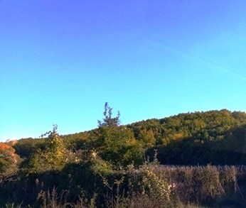 photo6