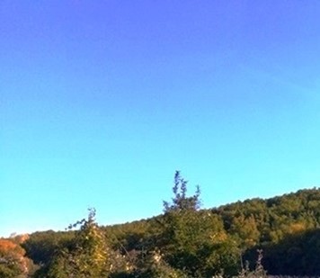 photo5