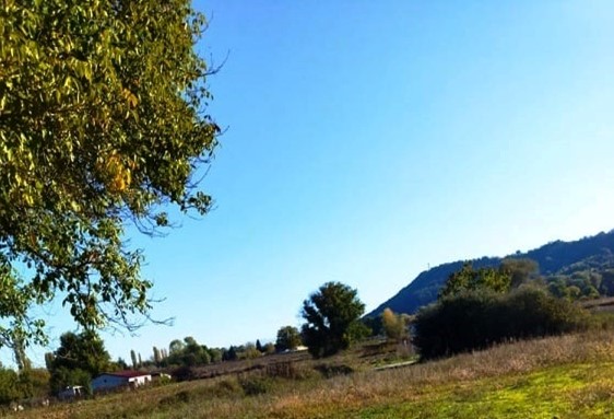 photo1