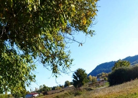 photo3