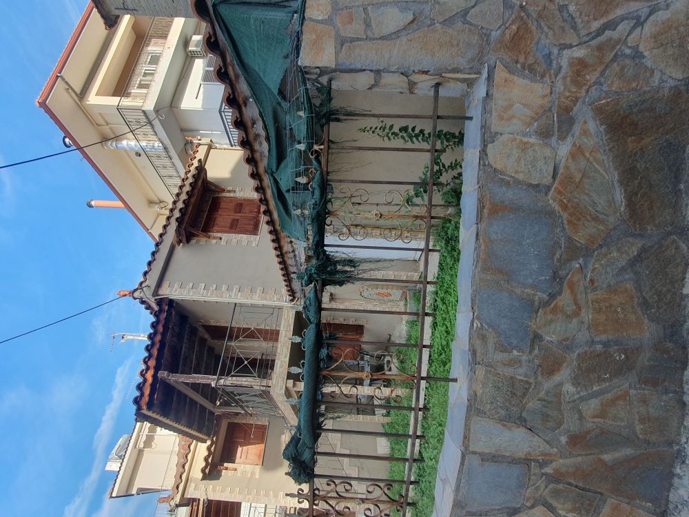photo1