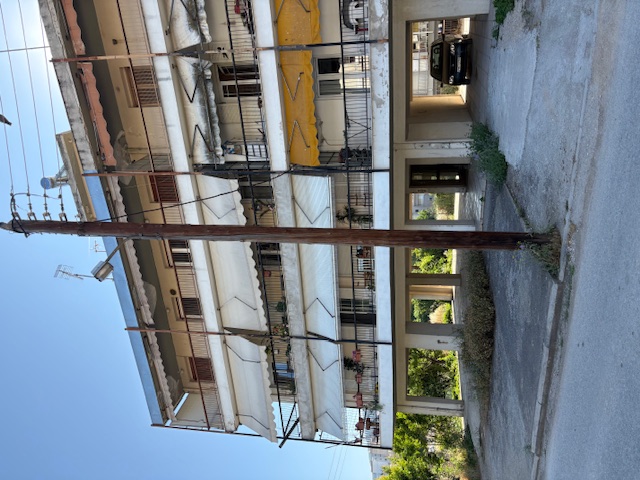 photo1