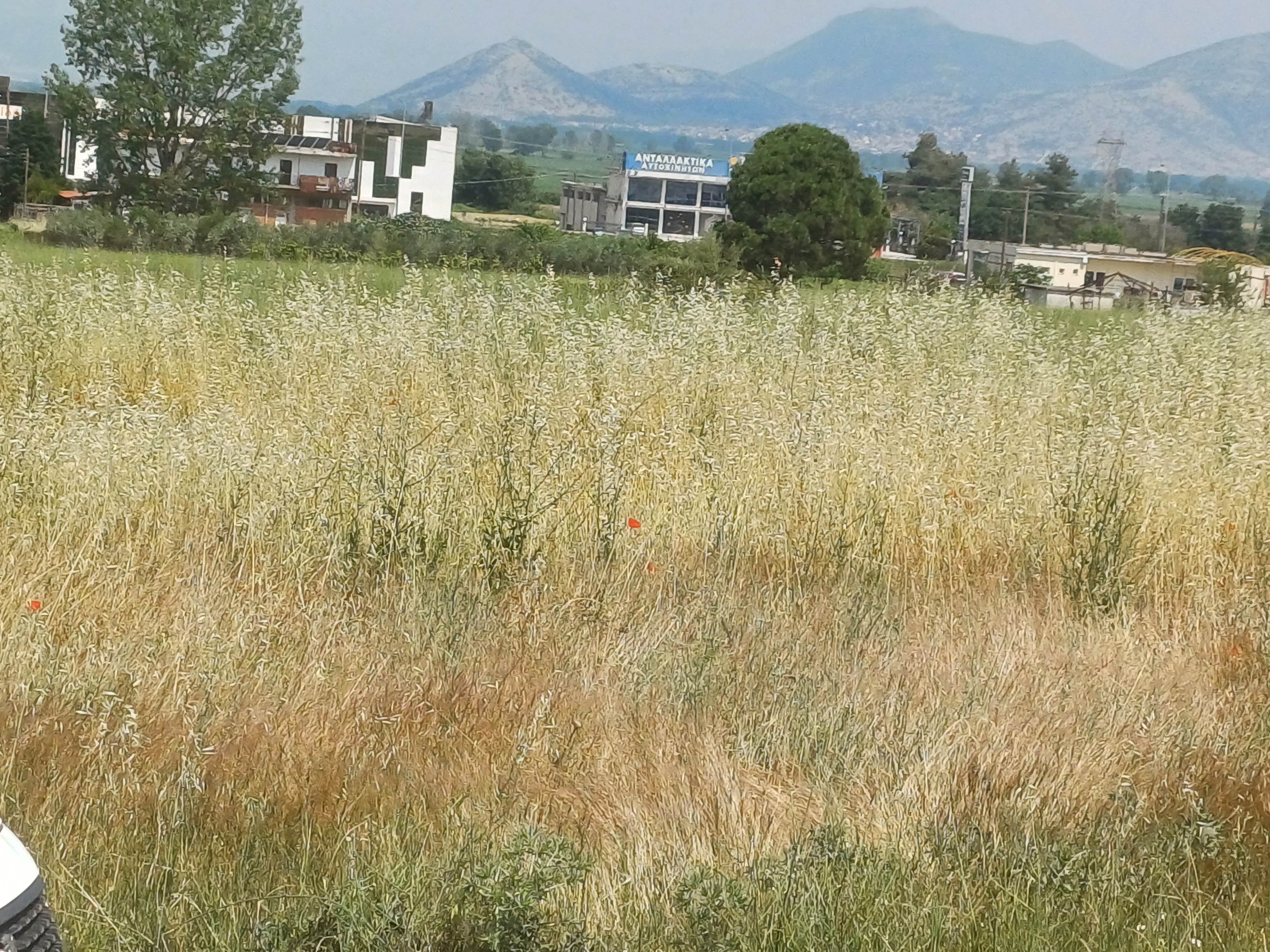 photo2