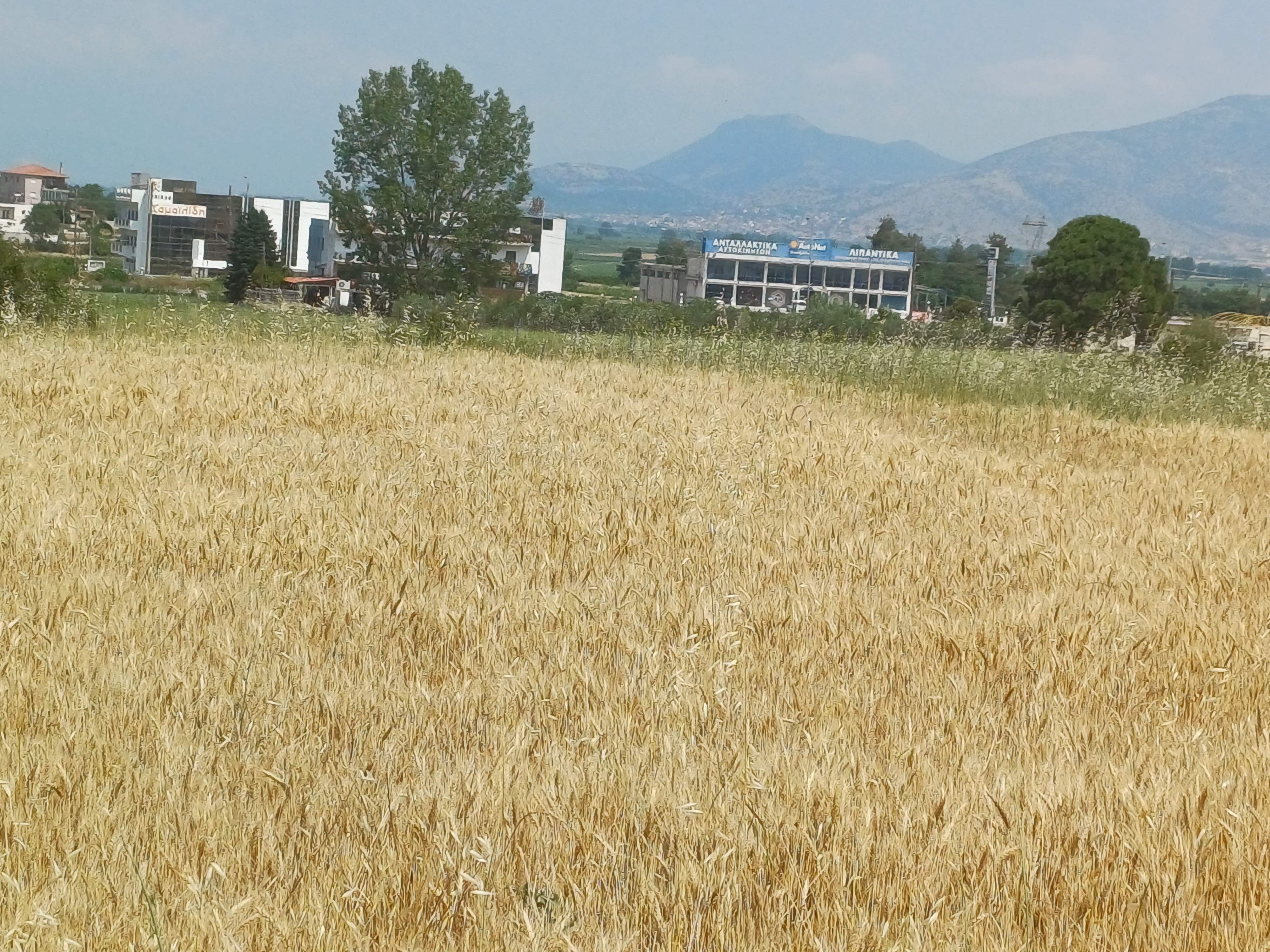 photo0