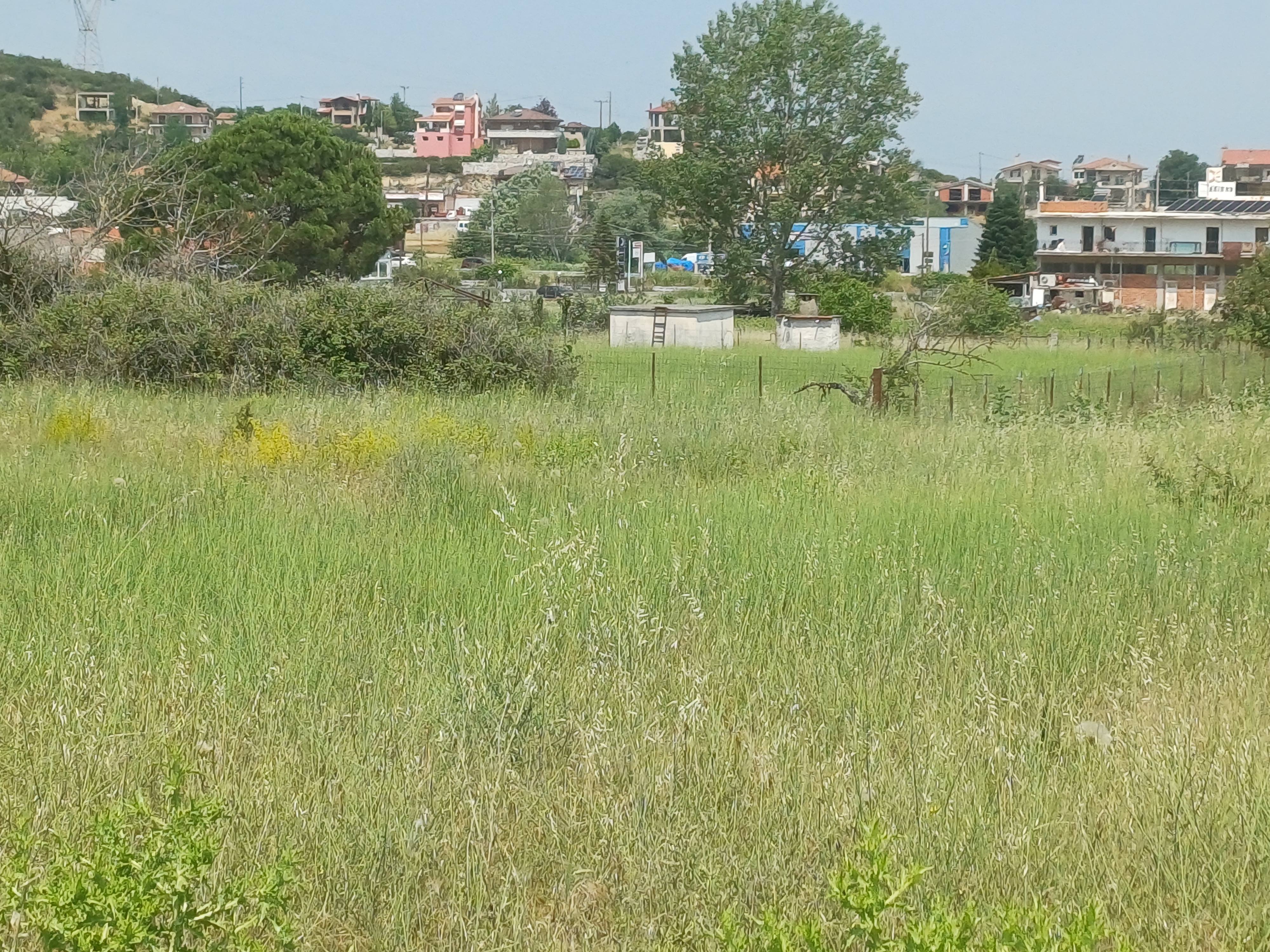 photo4