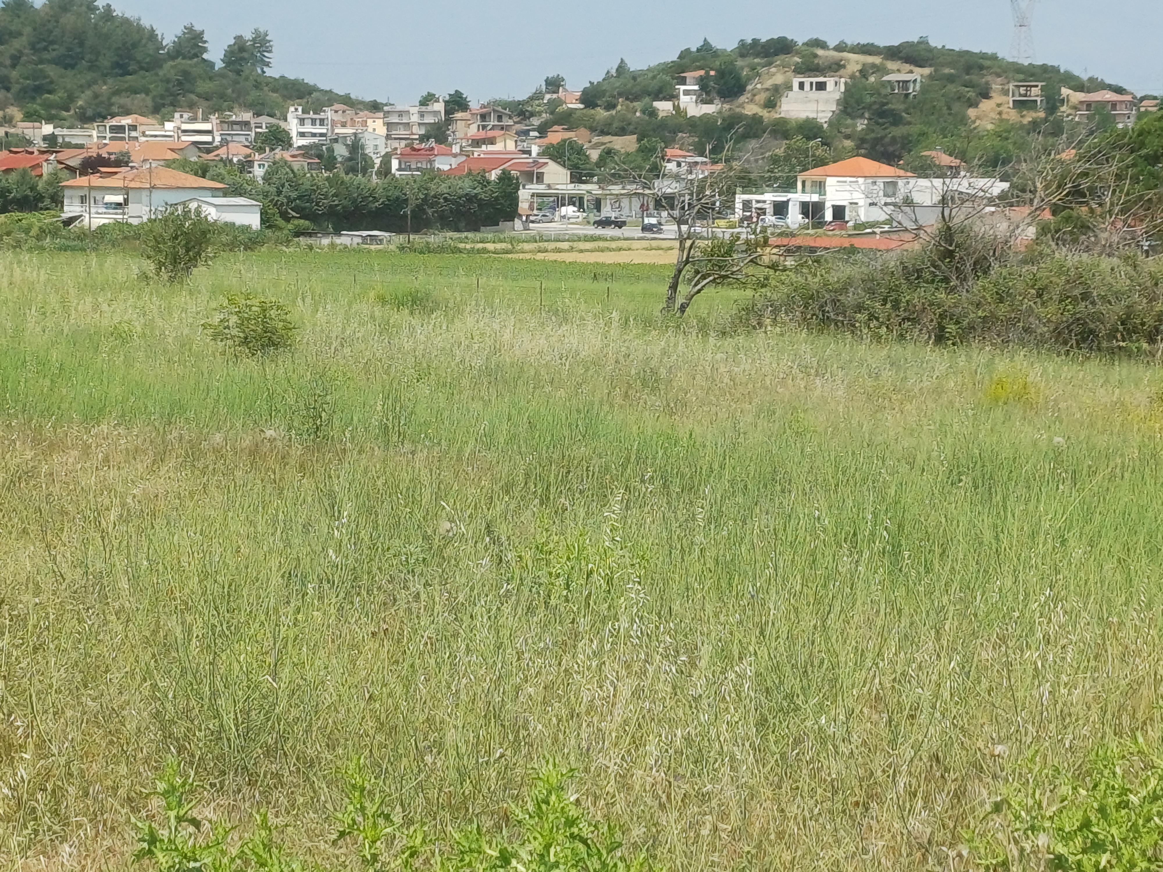 photo5
