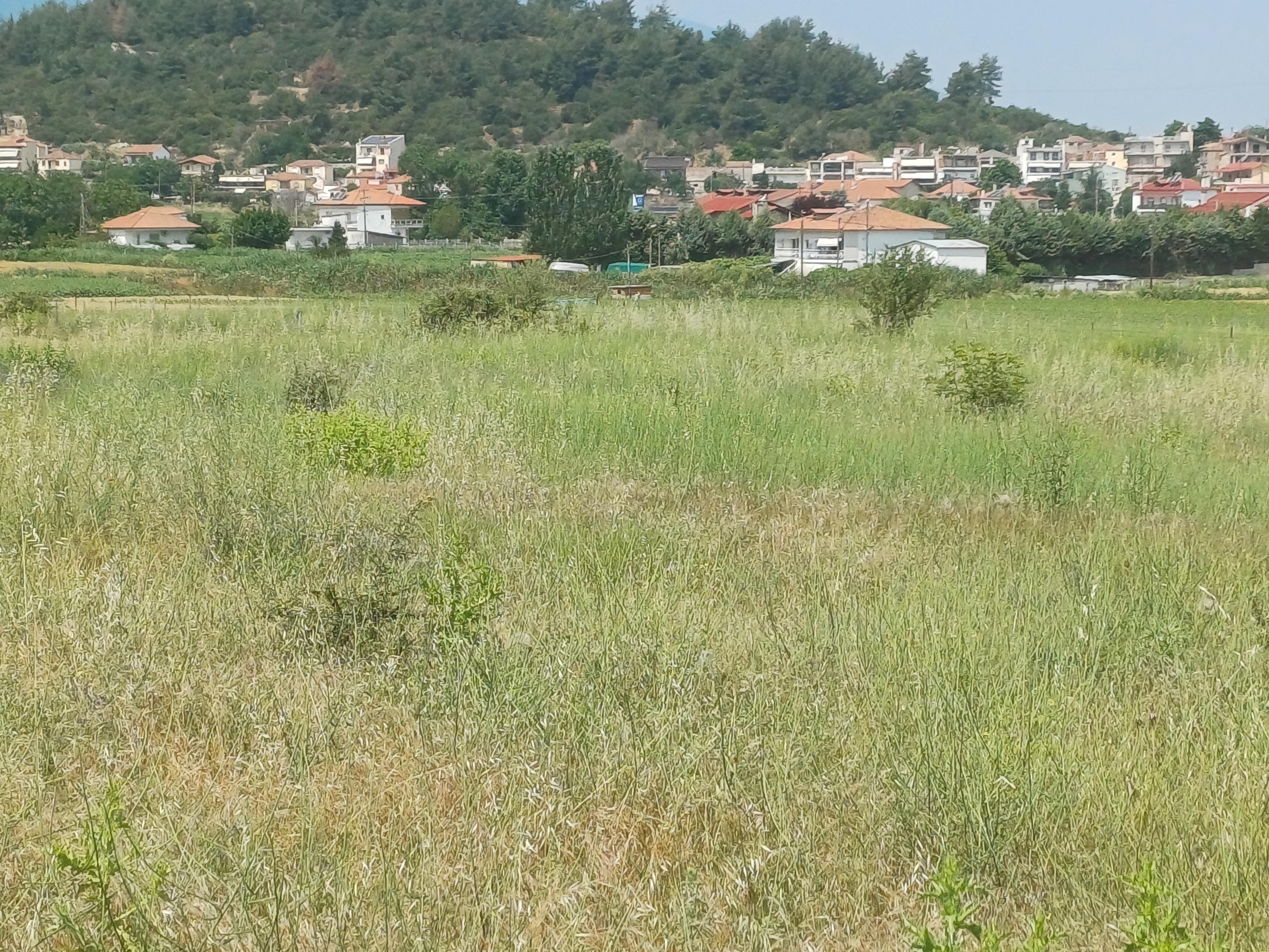 photo6