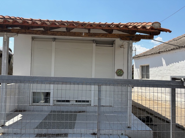 photo1