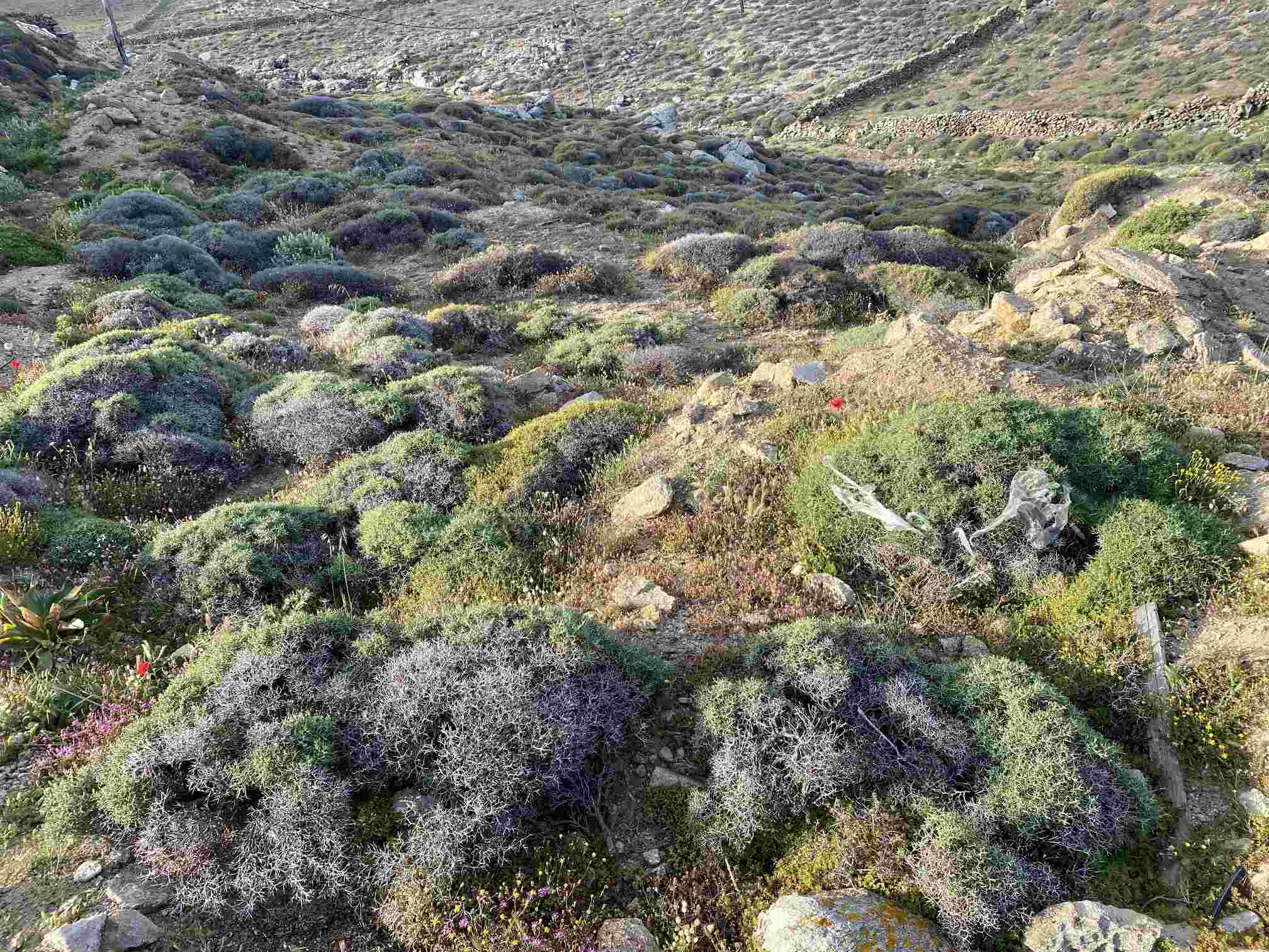 photo0