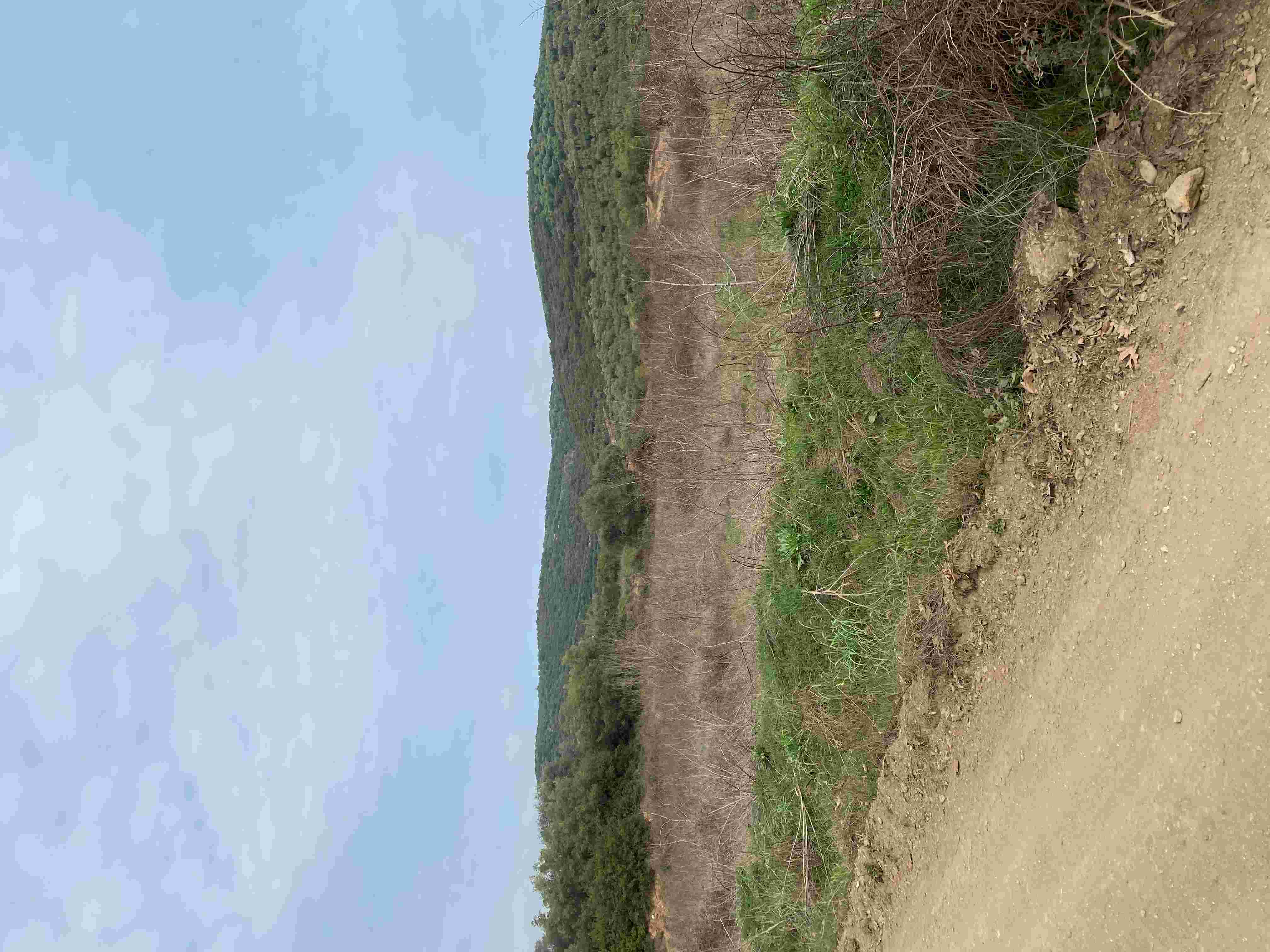photo1