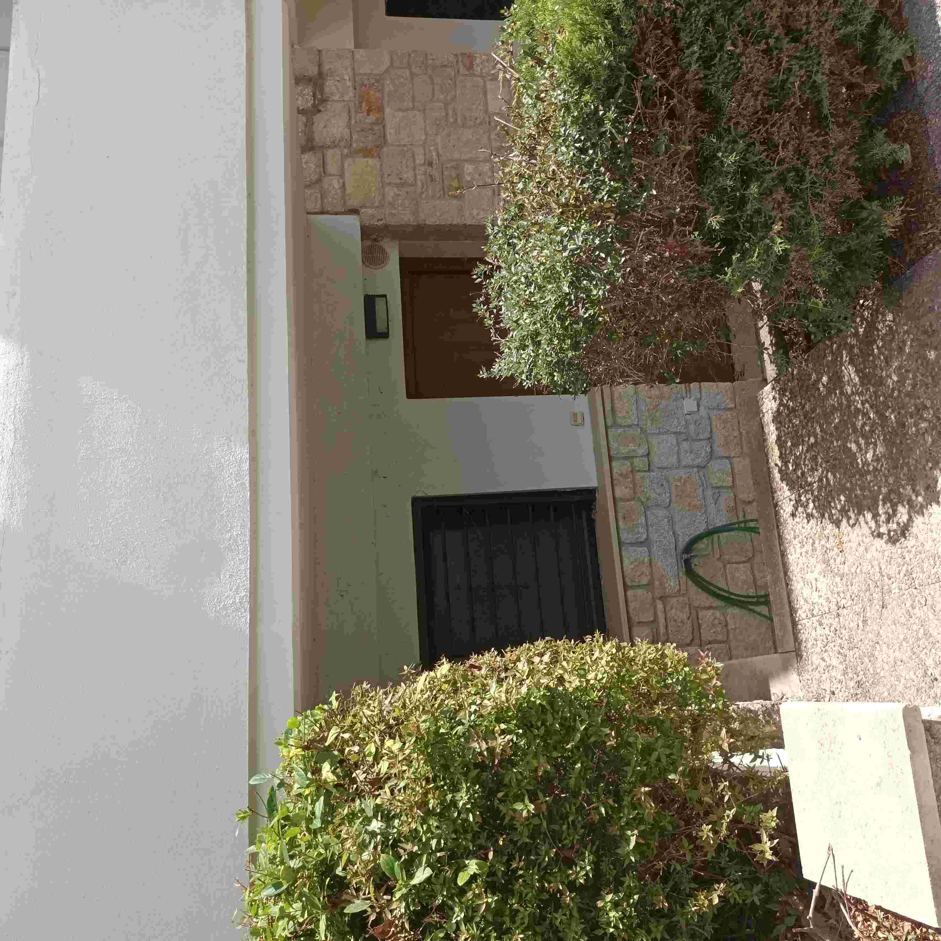 photo2