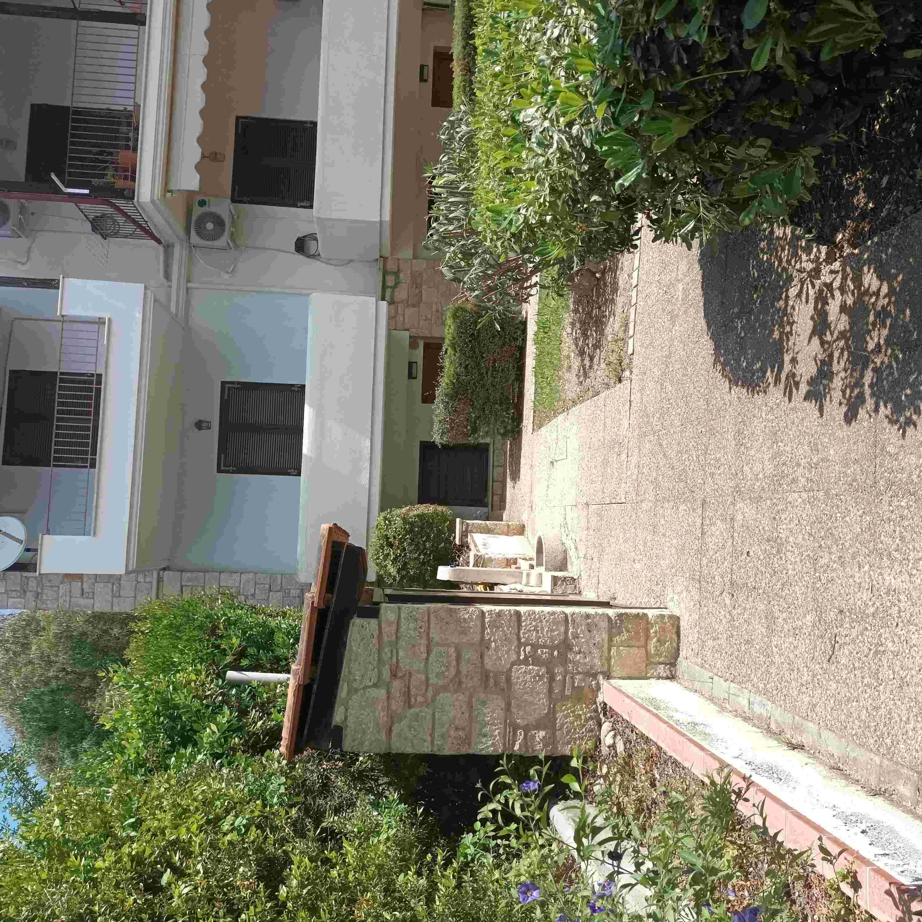 photo3
