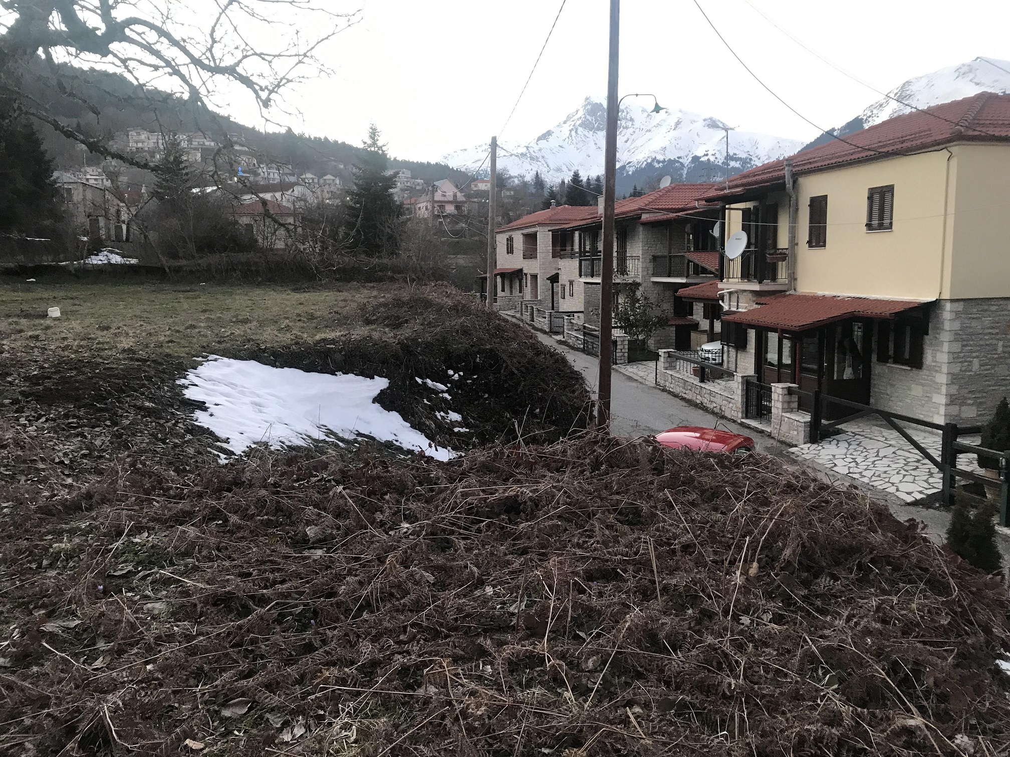 photo5