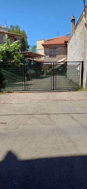 photo1