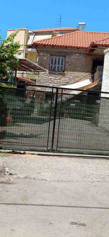 photo2