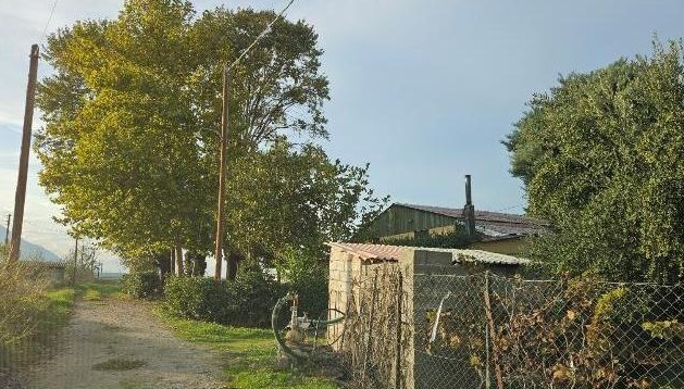 photo1