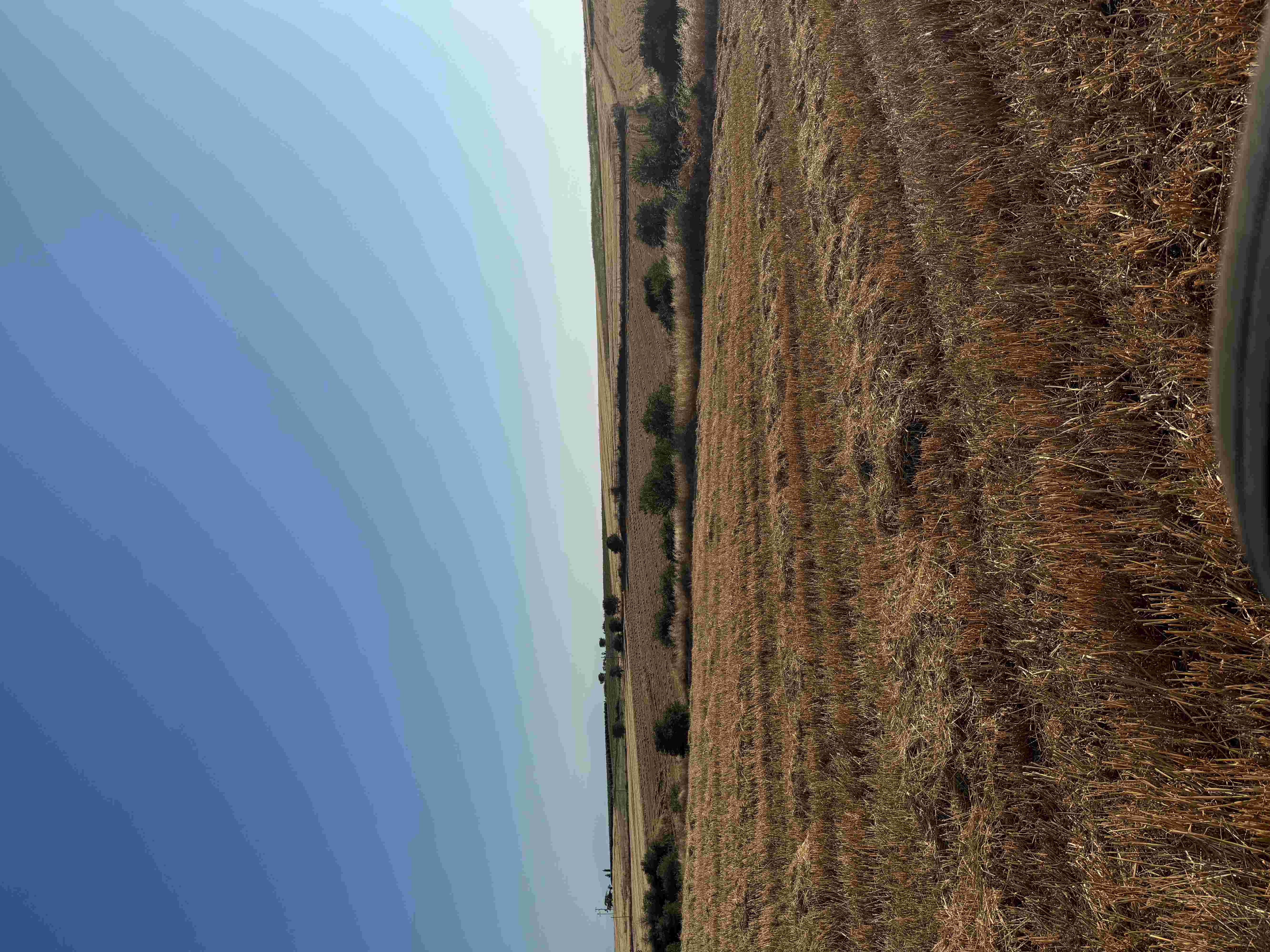 photomain
