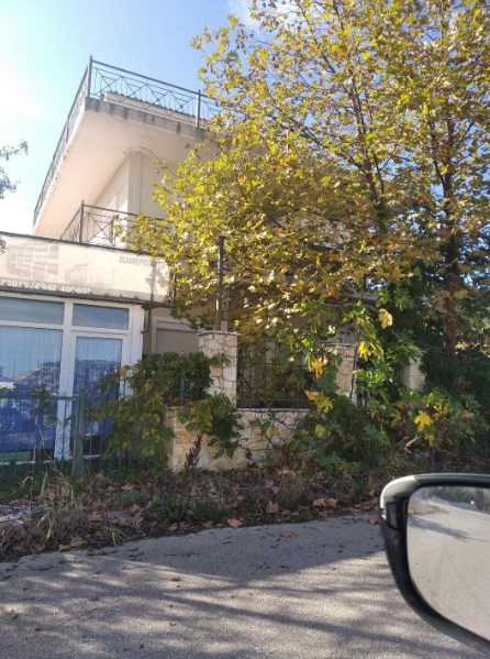 photo1
