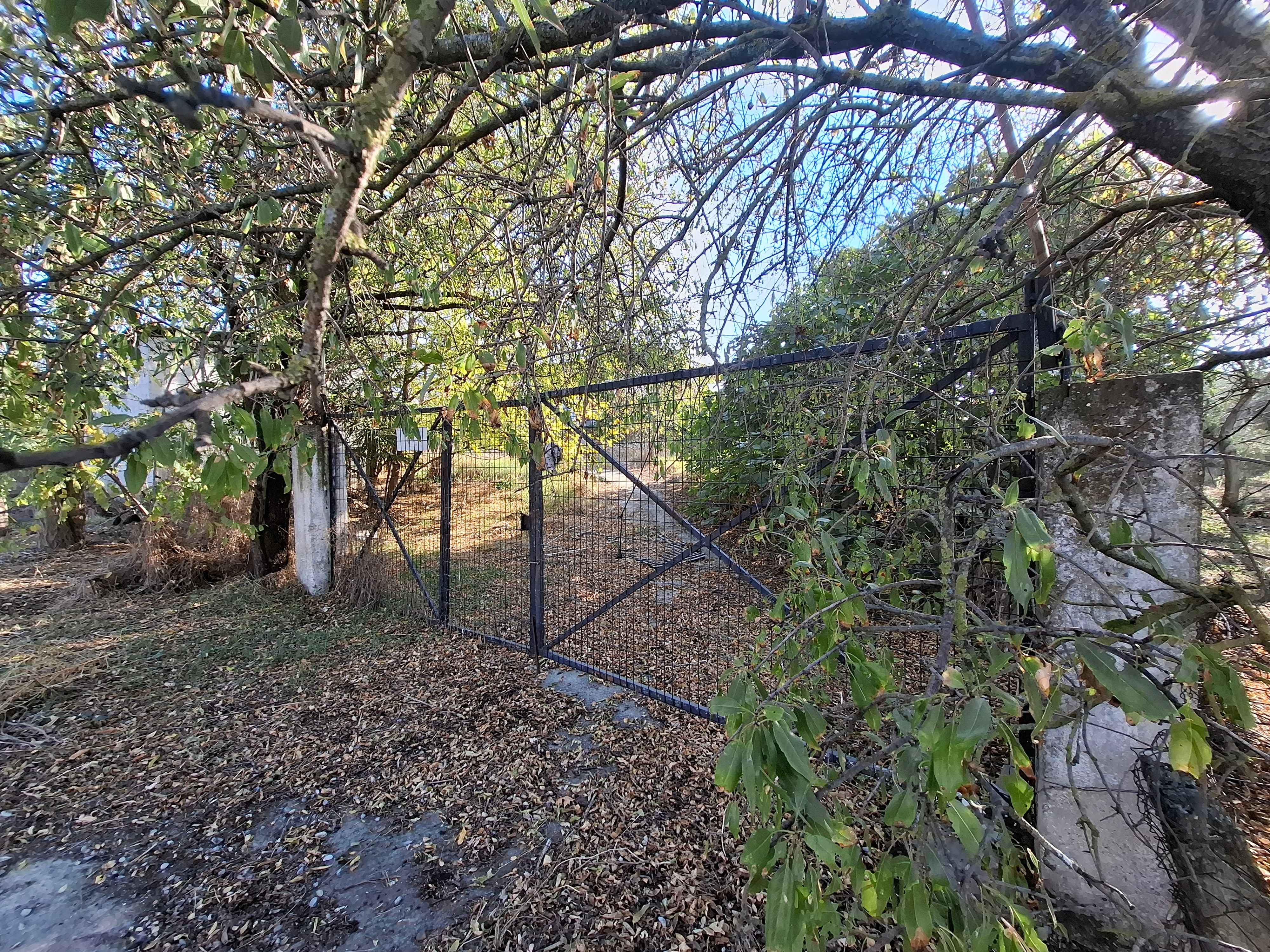 photo1