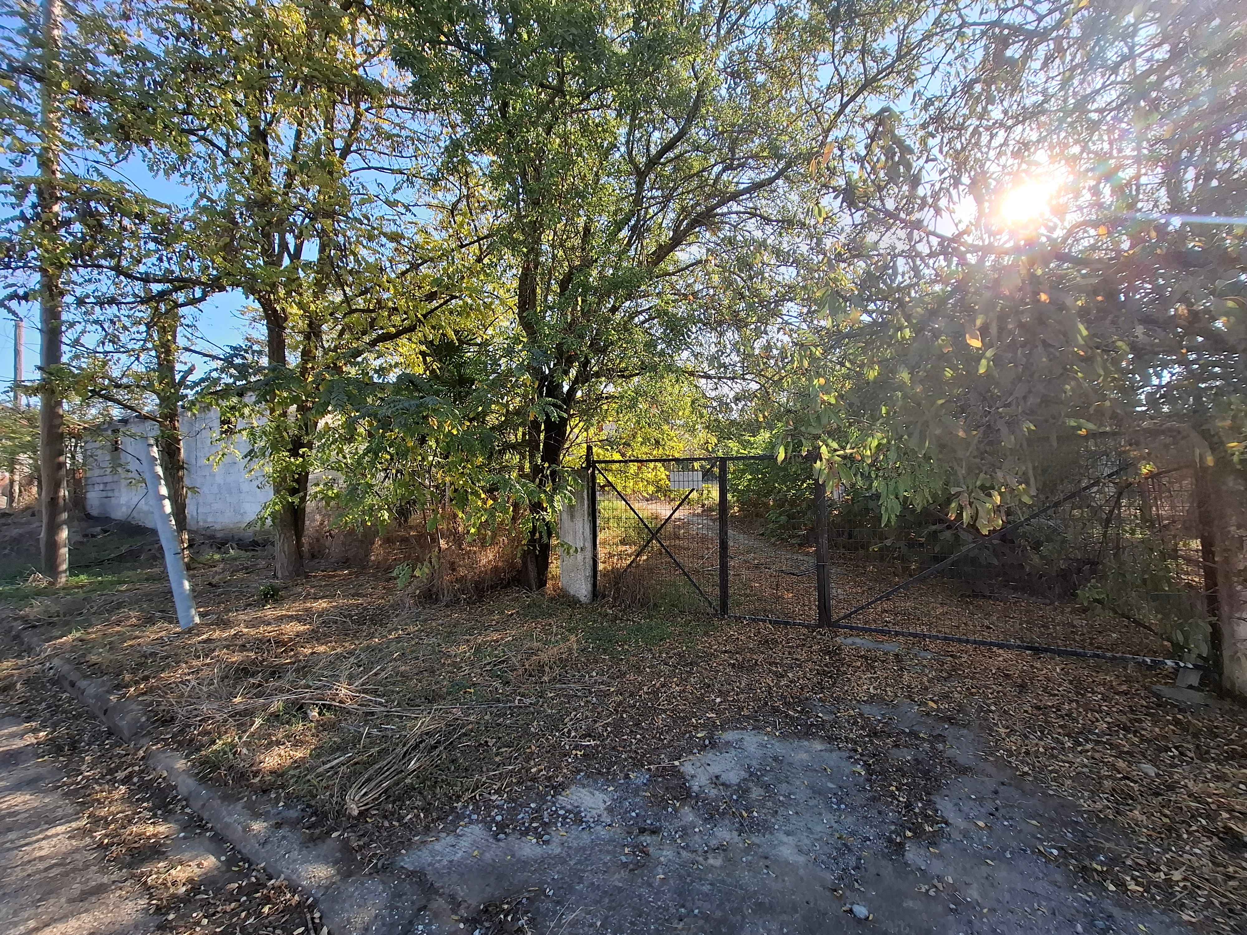photo2