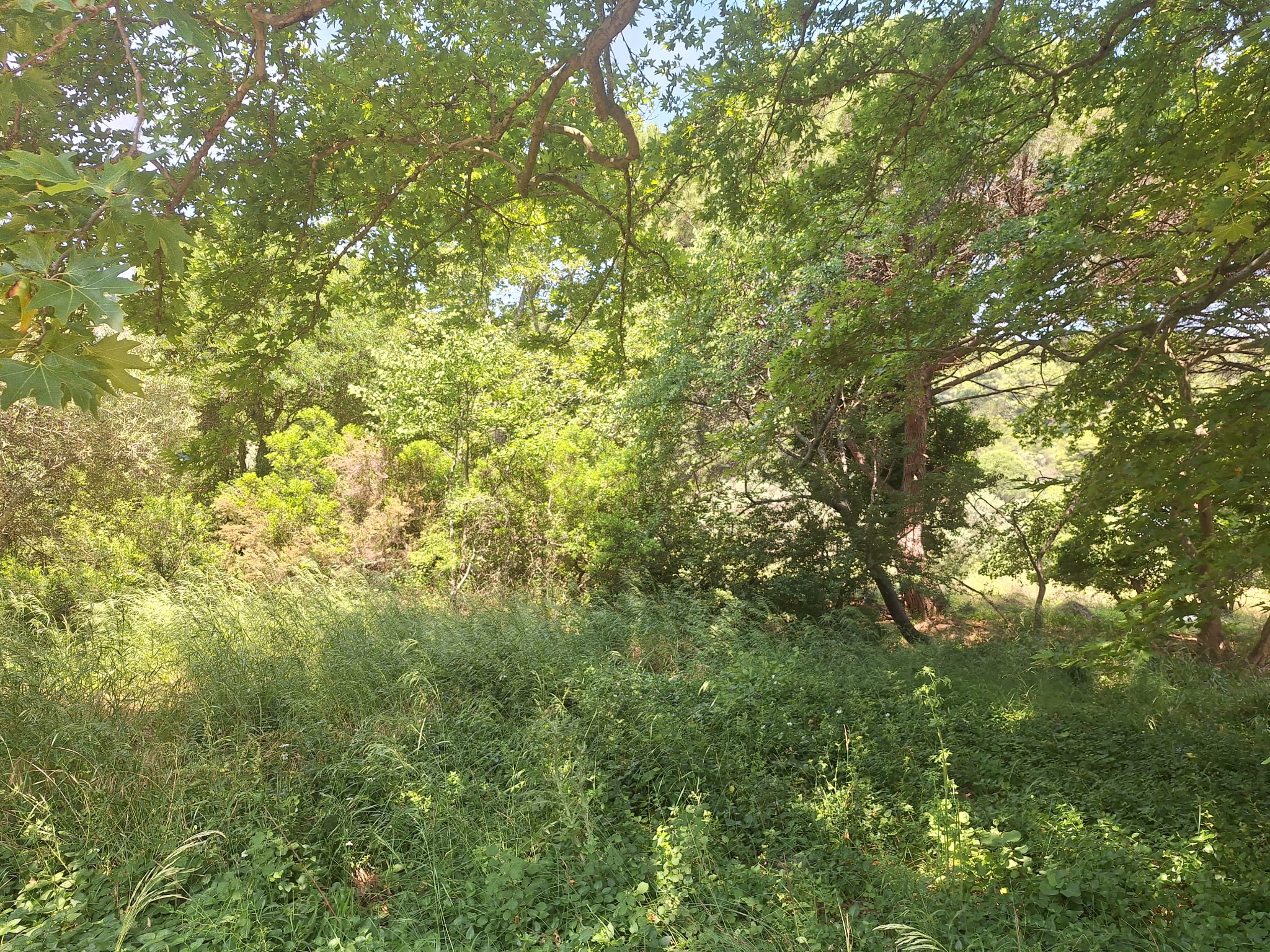 photo0