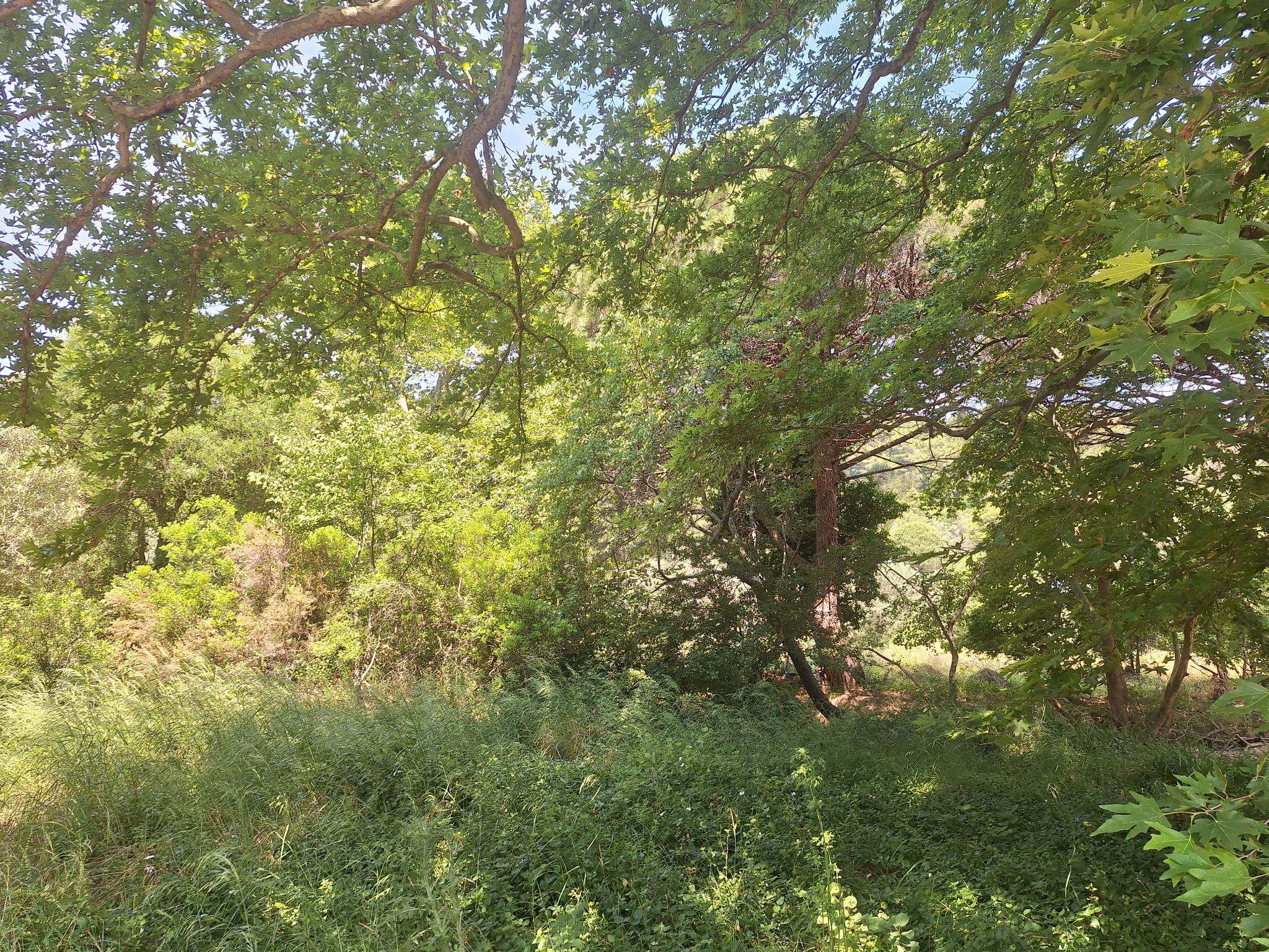 photo3