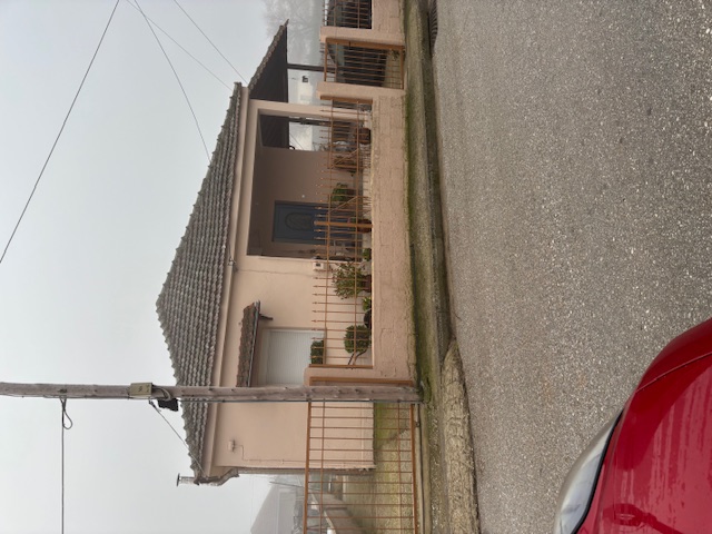 photo0