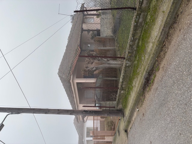 photo1