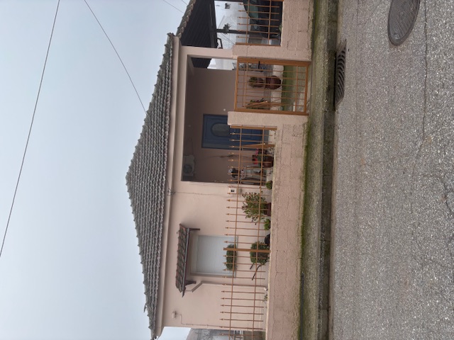 photo2