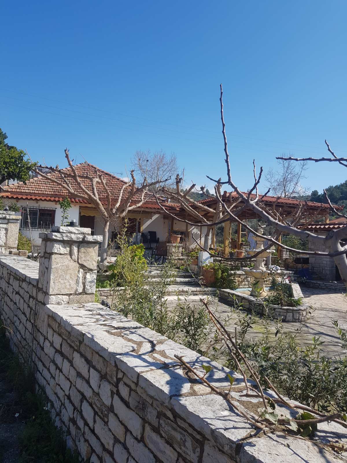 Κατοικία  σε πλειστηριασμό Δήμος Ζαχάρως