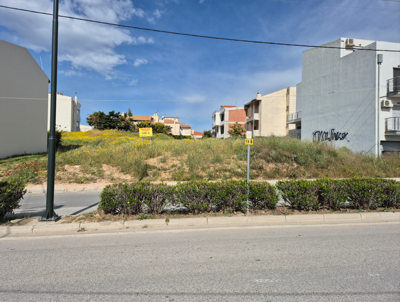 photo1