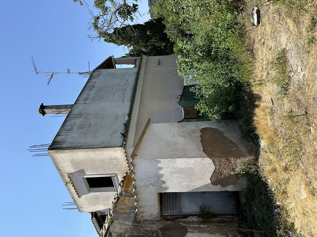 photo3