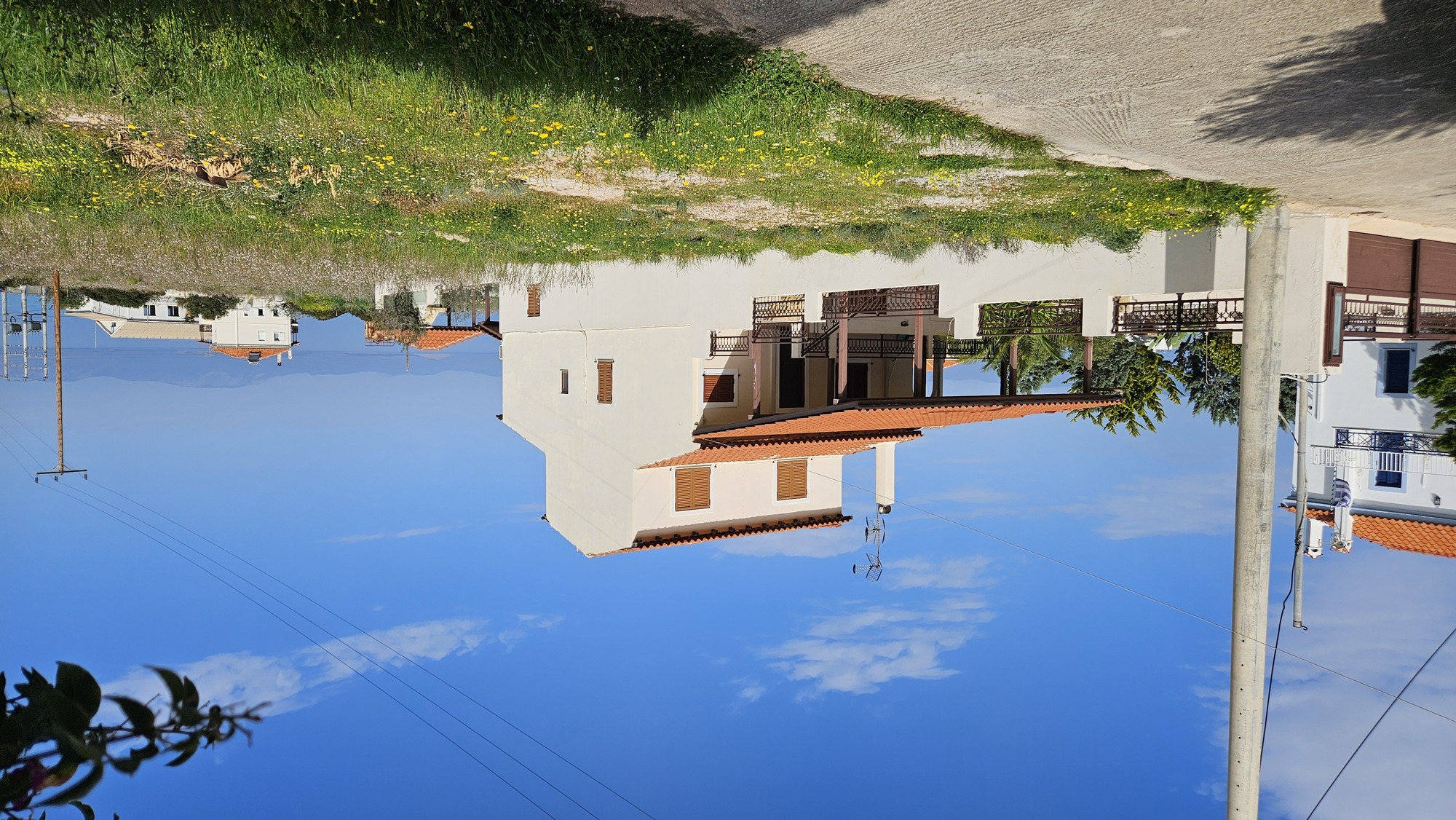 photo4