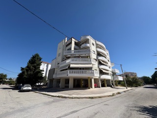 photo3