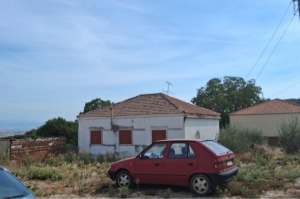 photo1