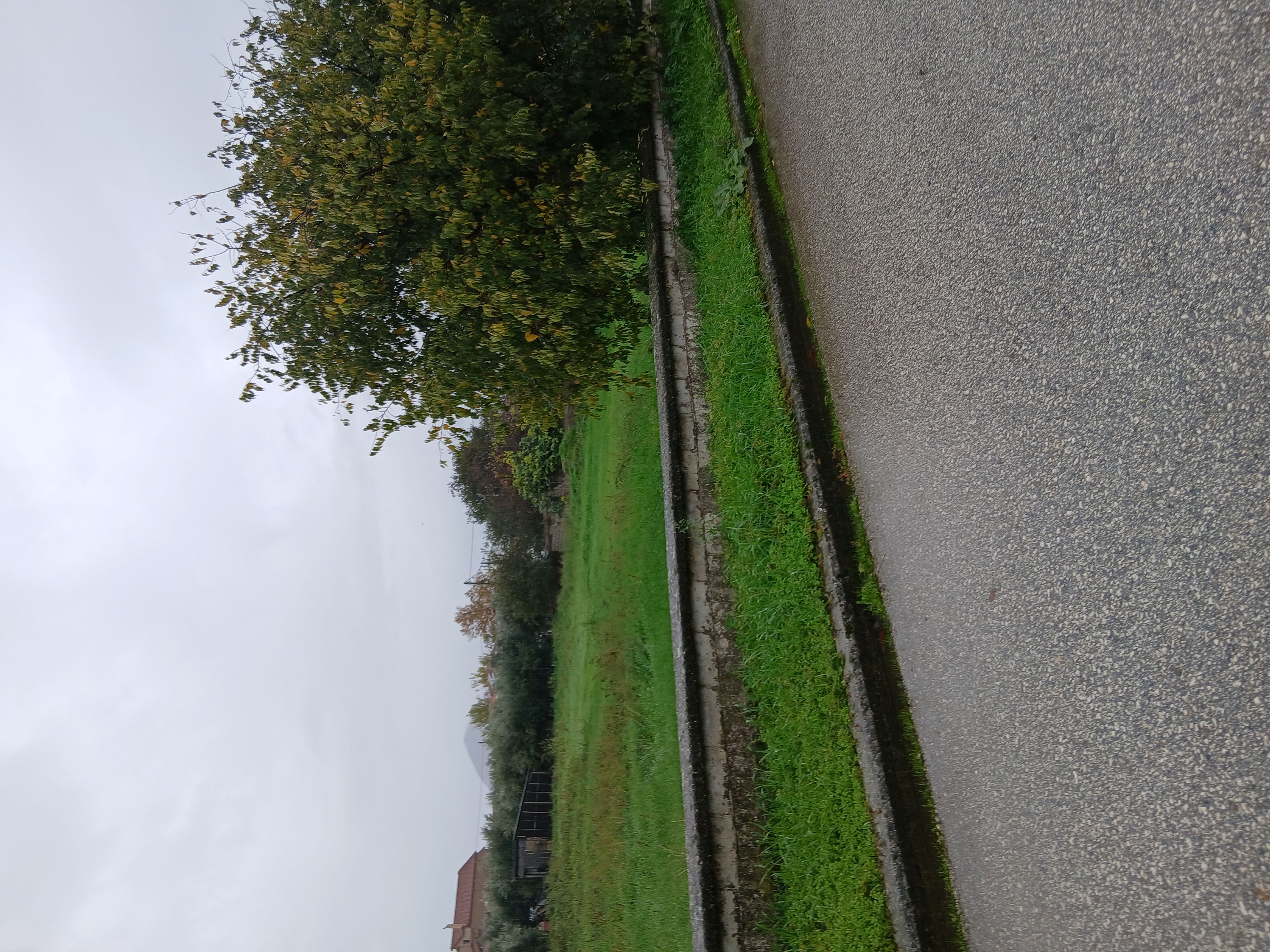 photo1