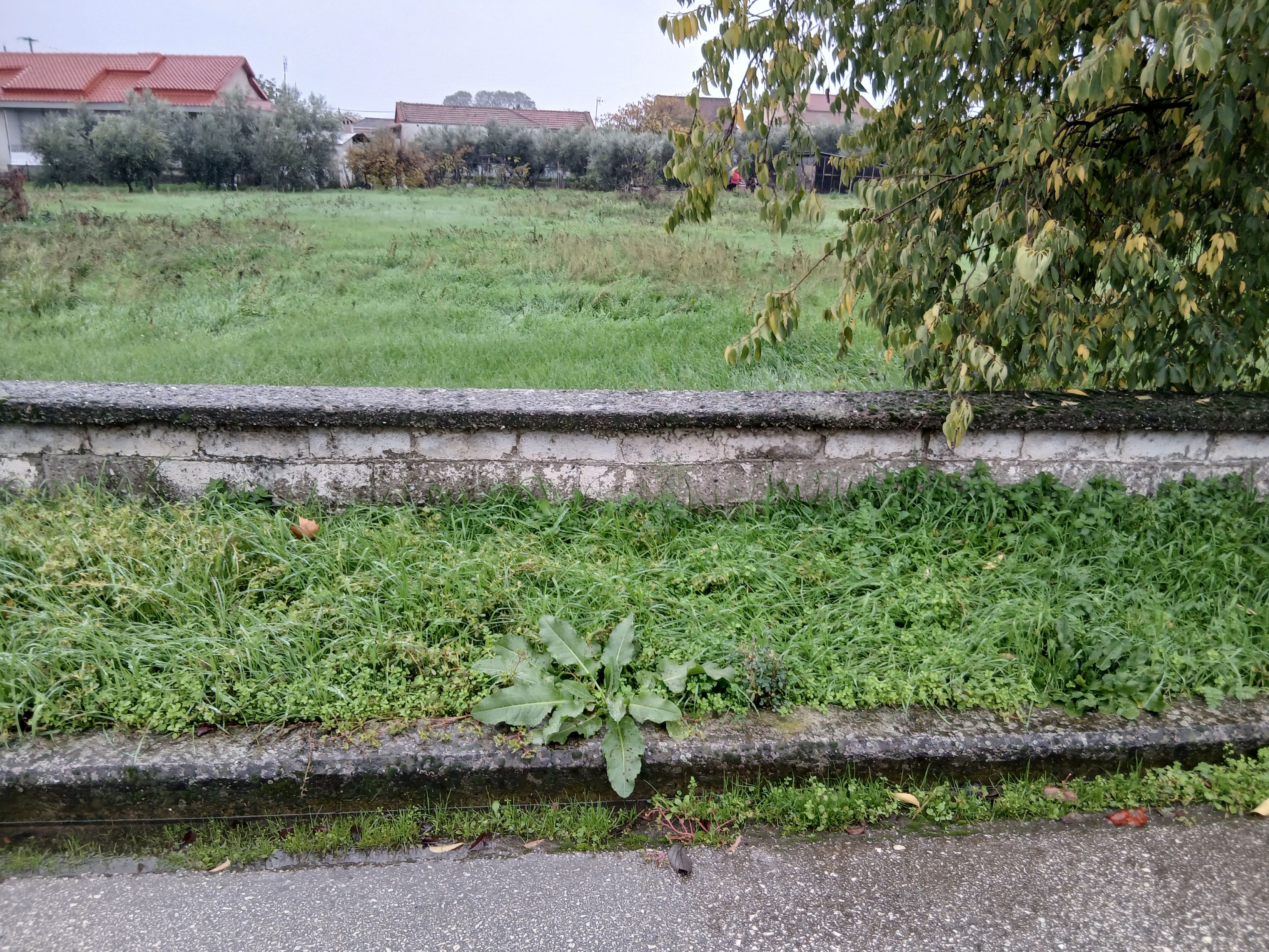 photo2