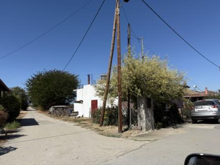 photo1