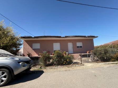photo2