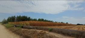 photo2