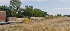 photo7