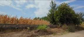 photo1