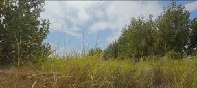 photo3