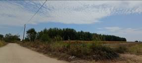 photo1